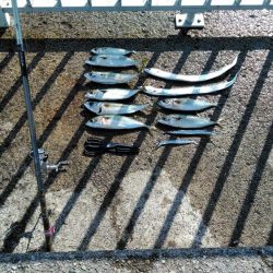 大サバ・中サバ・サバ・サバ時々タチウオ 明けるとサヨリ