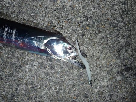 メーターオーバー出ました！