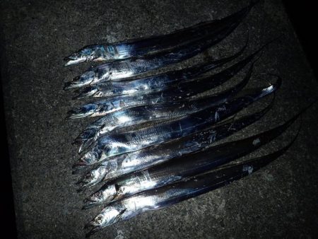 武庫川一文字にFLAP釣行！