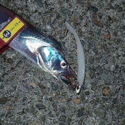 皆既月食の武庫川一文字で！