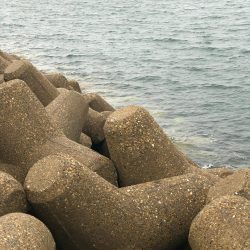 飲ませで青物狙い