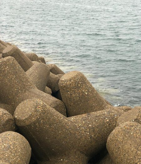 飲ませで青物狙い