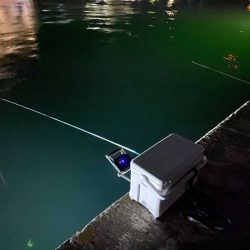 姫路でヒイカ釣り夕マヅメラッシュで爆釣か！？