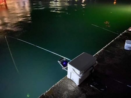 姫路でヒイカ釣り夕マヅメラッシュで爆釣か！？