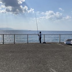 穴釣り。まさかのクジメとショウジンガニ