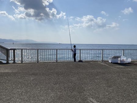 穴釣り。まさかのクジメとショウジンガニ