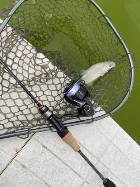 釣れない日に当たった。