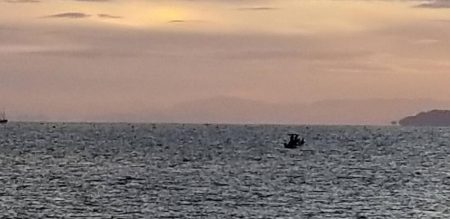 朝間づめ。 寂しい反応です。