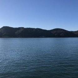 マイクロベイトパターン攻略?