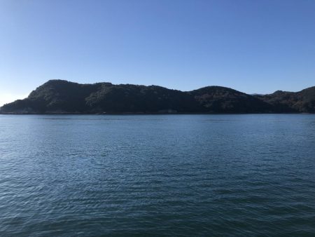 マイクロベイトパターン攻略?