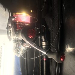 朝マズメのカマス好釣‼︎