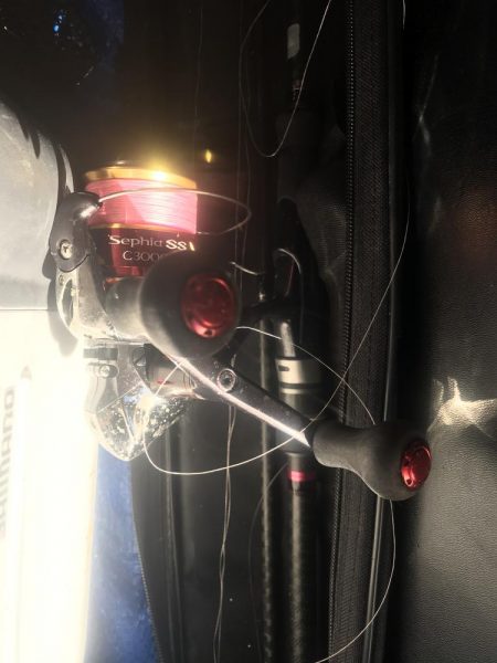 朝マズメのカマス好釣‼︎