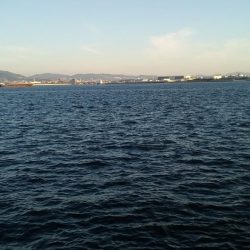 ムコイチ夕方編