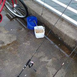 久しぶりの食い気