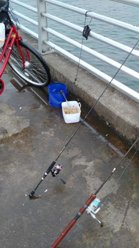 久しぶりの食い気