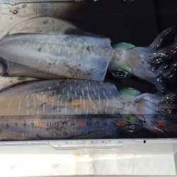 シーズン終盤戦