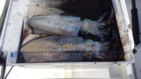 シーズン終盤戦