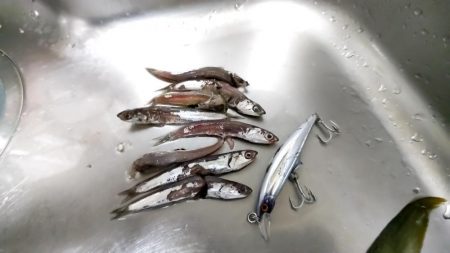 夕暮れでヒット