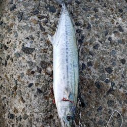 天気恵まれ最初の取れてたら満点だったのに、、!