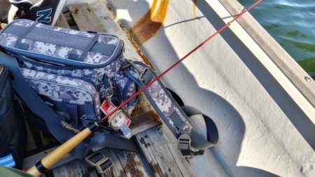 ボートハゼ初体験