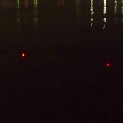 1回のアタリを仕留めた!