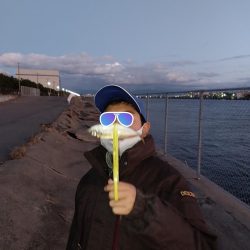 プチファミリーフィッシング　GAME