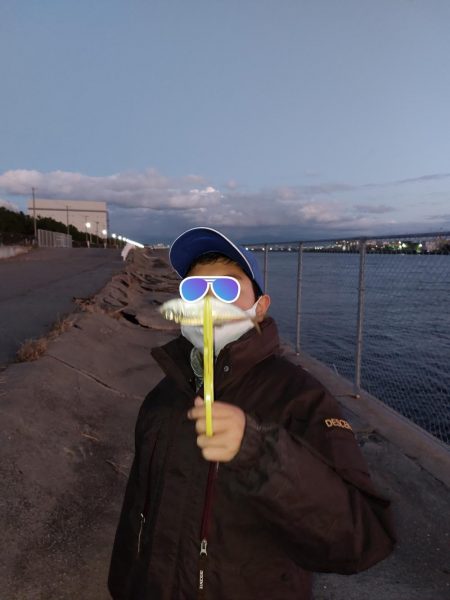 プチファミリーフィッシング　GAME