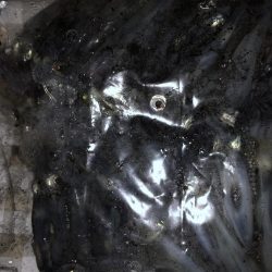 ヒイカ爆釣のカギ