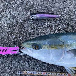 横から飛んできたー!