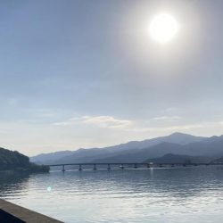 サヨリ釣りとアジ釣り