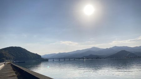 サヨリ釣りとアジ釣り