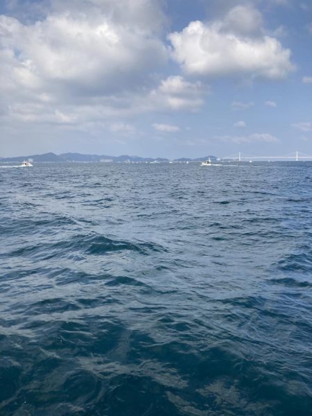 鳴門沖でサワラ