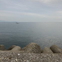 なんとかヒット