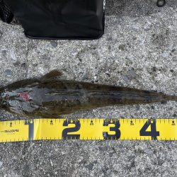 アウェイでミラクル3目釣り‼️‼️