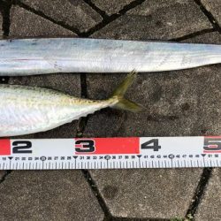 予想外、でも嬉しい