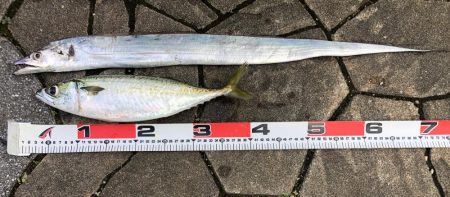 予想外、でも嬉しい