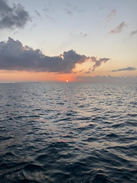 鳴門沖でサワラ