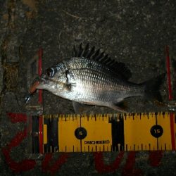 バイトは無限…