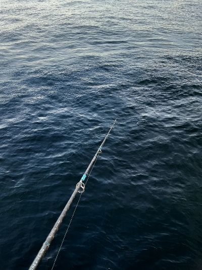 青物自己新記録