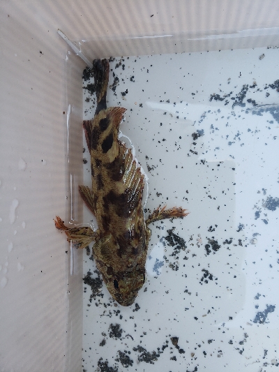 いろいろ出会えたひ