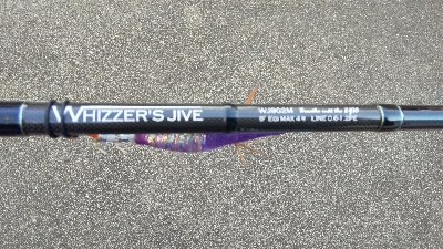 今年の初アオリイカGET!