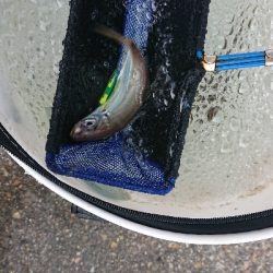 80cmで3.8kg 痩せすぎです・・・