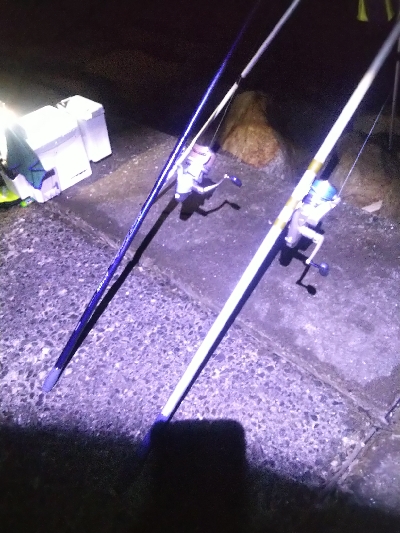 苅屋海岸のキス釣り