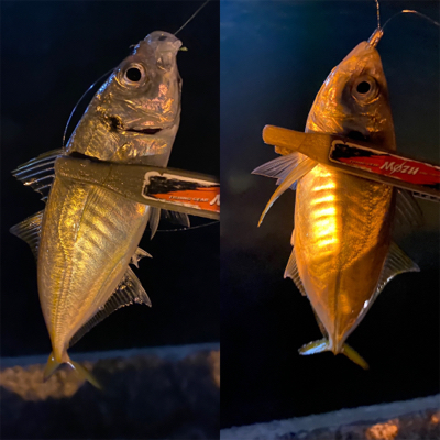 ロングロッドでジグ単