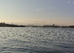 大潮なのに・・・