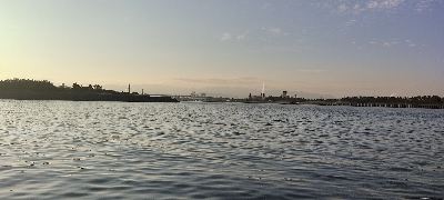 大潮なのに・・・