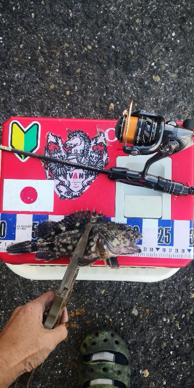 アジング練習 327