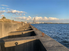 沖堤は今日も賑やか