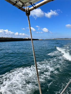 イカとハゲのリレー釣り