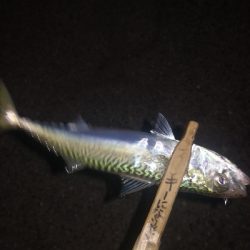 アジング練習328　スプリットシンカー